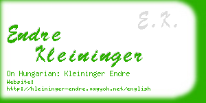 endre kleininger business card
